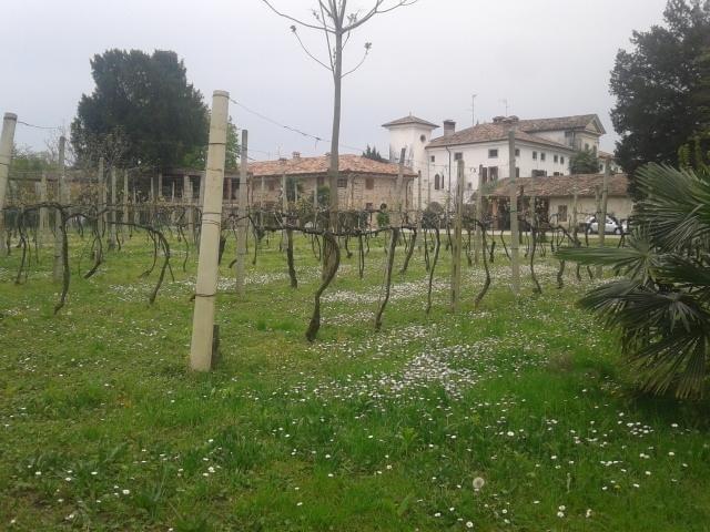 Alloggio Agrituristico Conte Ottelio Pradamano Екстер'єр фото